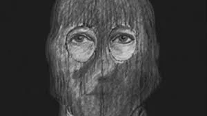 DNA that cracked 'Golden State Killer ...