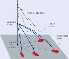 The physics of blood spatter – Physics World