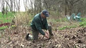 Related video thumbnail