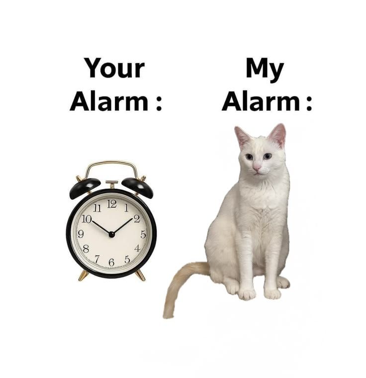 Alarm.jpg