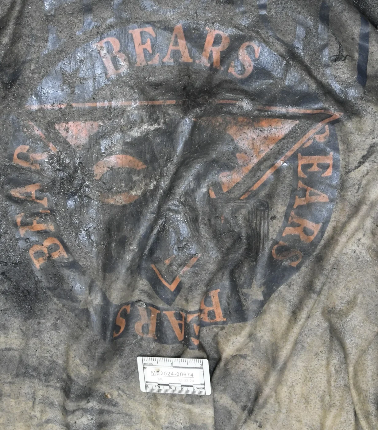 bears shirt.webp