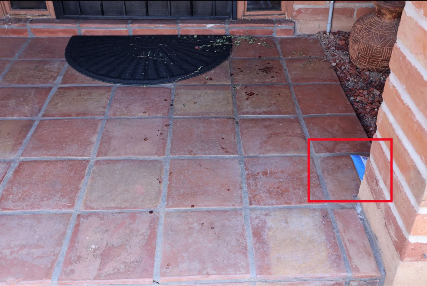 Bloodspatterand package.jpg