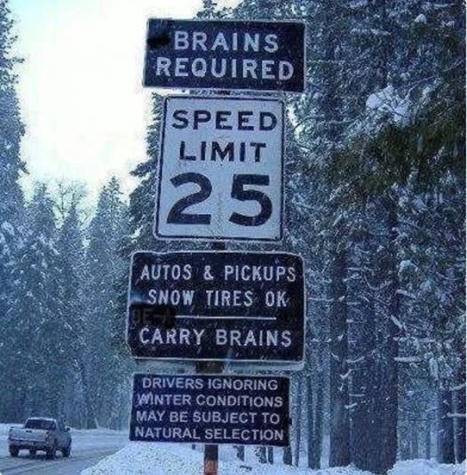 Brains required.webp