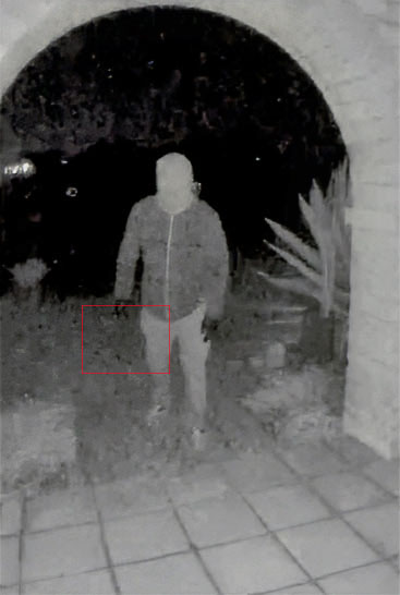 FBIPatelXstatusphotoSWOB1 copy.jpg