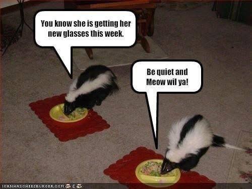 Her glasses.jpg