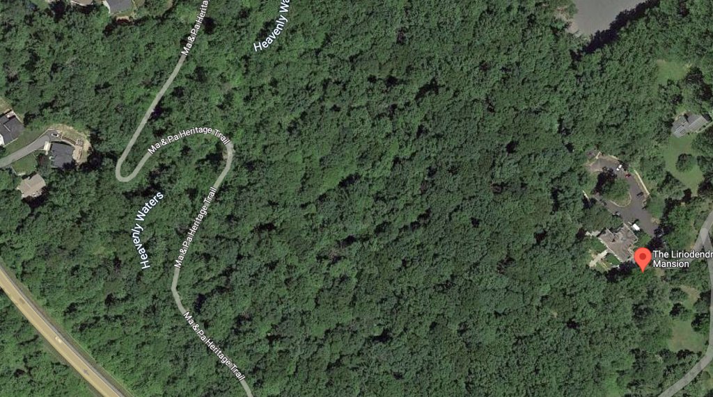 Liriodendron Mansion 02.jpg