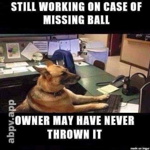 Missing ball.jpg