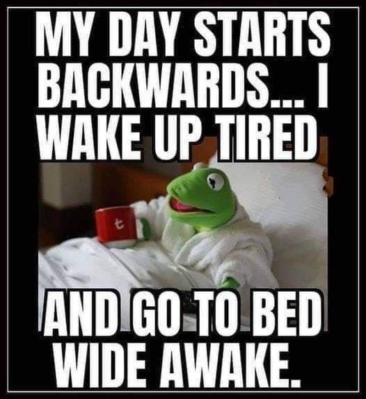 My day.jpg
