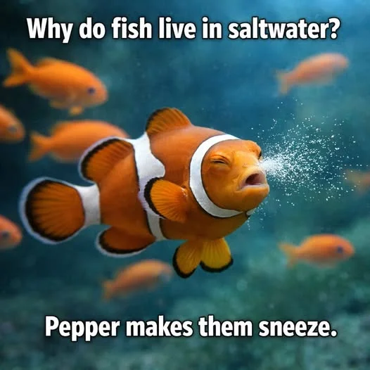 Saltwater.webp