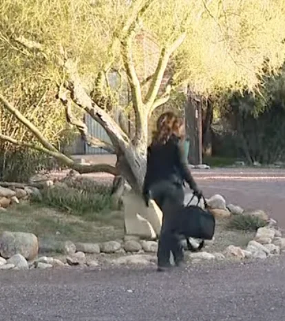 Screenshot 2026-02-04 at 7.25.55 PM.webp