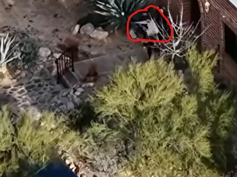 Screenshot 2026-02-18 133023.webp