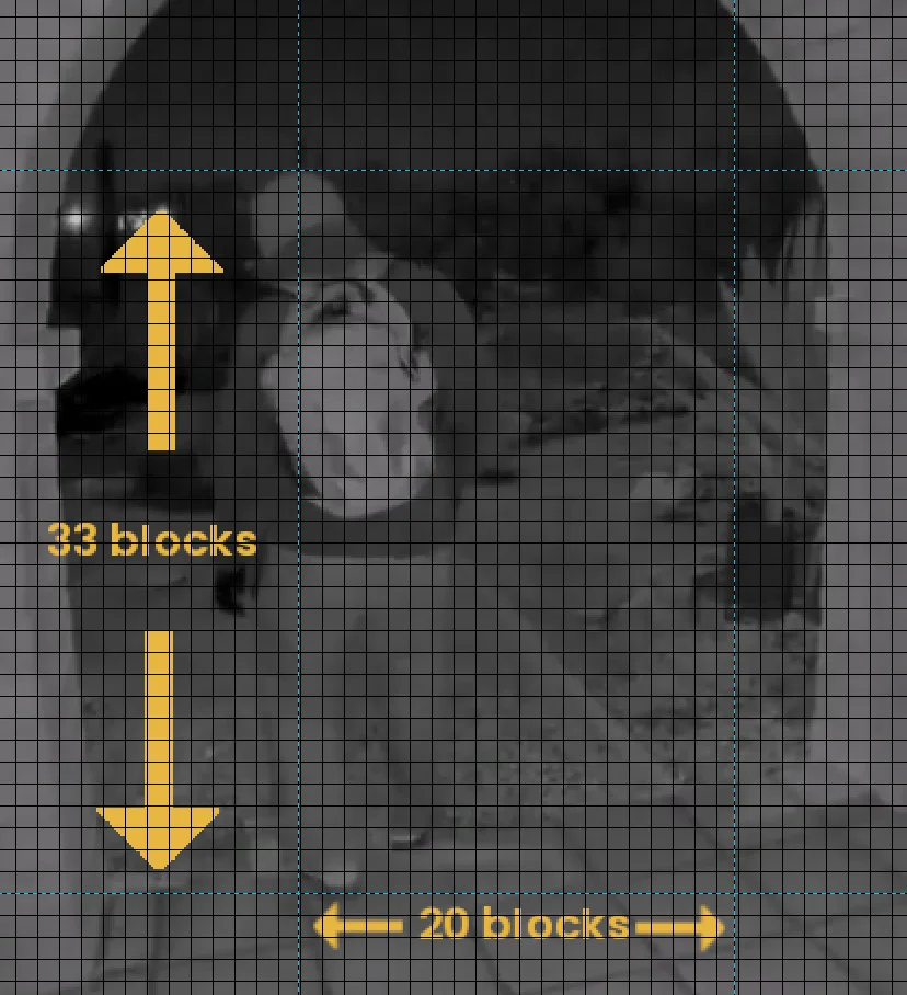 Screenshot 2026-02-18 at 21.03.49.webp