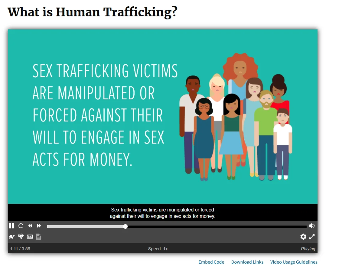 Screenshot Capture - 2025-12-29 - 23-19-49.webp