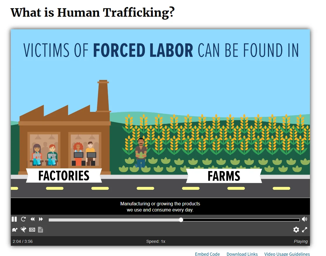 Screenshot Capture - 2025-12-29 - 23-20-43.webp