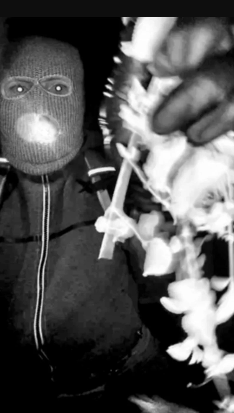 Screenshot_20260211-195023.Moto App Launcher.webp