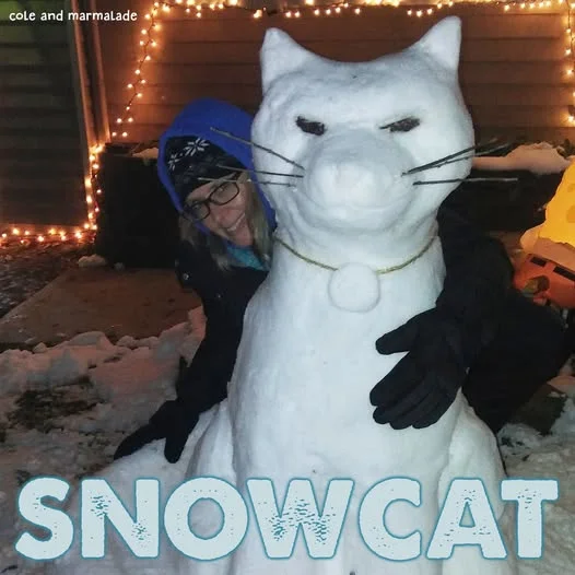 Snow cat.webp