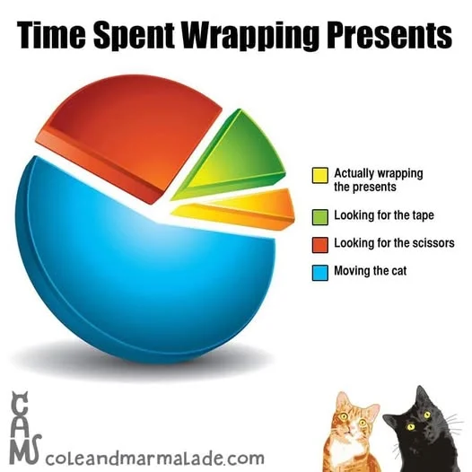 Time spent.webp