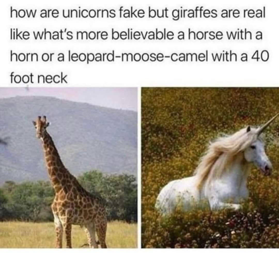 Unicorns.jpg