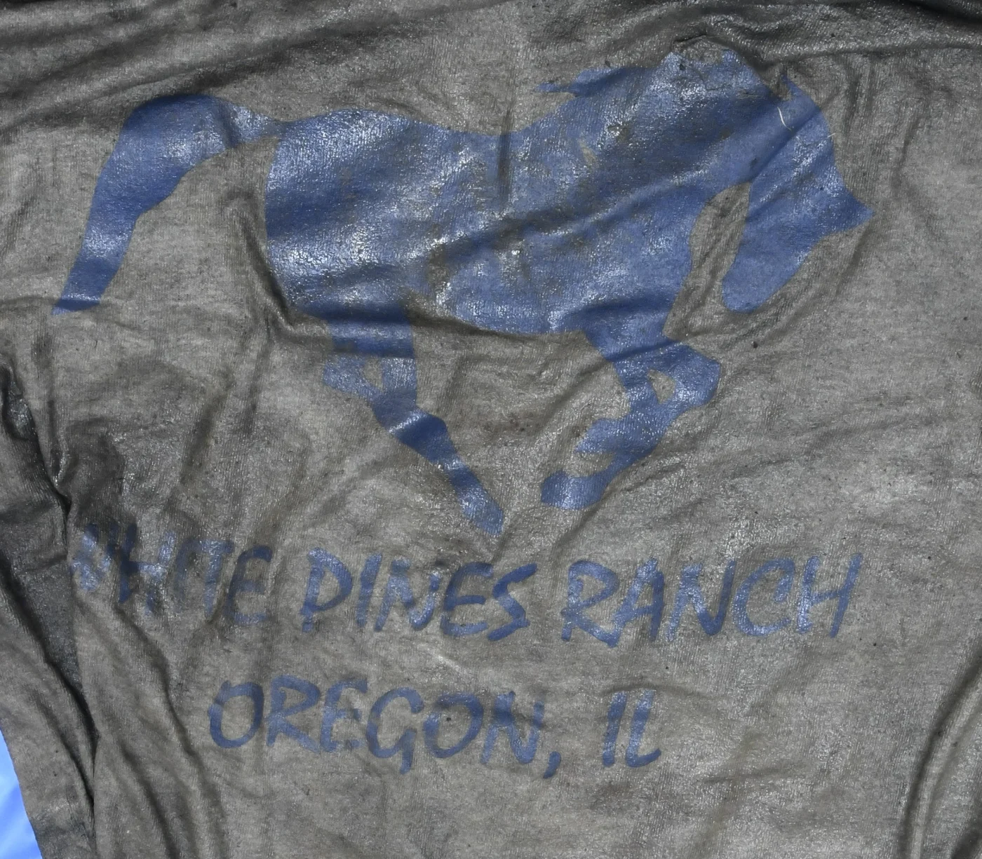 White Pines Ranch Shirt NamUs 120276.webp