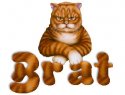 brat-kitty.jpg
