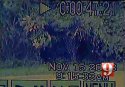 pi-video1.jpg