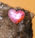 cayleeheartsticker_cropped.jpg