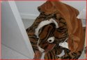 stuffed animal.JPG