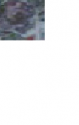 face3.png