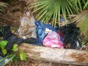 femaleclothesand2backpacks-from-joe-jordan.jpg