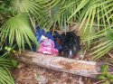 pinkbackpack.jpg