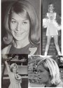Chris Eastin Collage.jpg