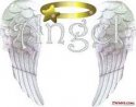 angel wings.jpg