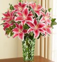 Stargazer Lilies 08 02 2016.jpg