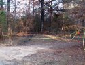 crime scene from road.JPG
