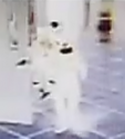 SP 0028 Inverted.png