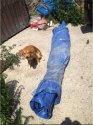 babcock-tarp-photo.jpg