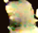 looking down at cell phone - full head of hair?.png