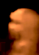 Tampa PD vid B3 copy 2.png