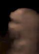 Tampa PD vid B2 copy.png