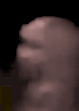 Tampa PD vid B.png