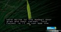 Screen Shot 2017-12-10 at 10.35.47 PM.jpg