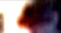 Screen Shot 2017-12-15 at 3.37.13 PM.jpg