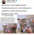 allison-pohle-allisonpohle-someone-in-the-neighborhood-facebook-group-my-28602896.png