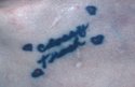 Classy_Trash_Tattoo[1].jpg