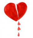 bleedingHeartSmaller.jpg