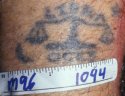 M96_01044_tattoo_2[1].jpg
