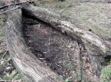 clean log.jpg