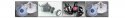 respiratory_banner3.jpg