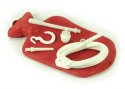 enema bag.jpg
