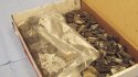 exhibit-bones-7.jpg